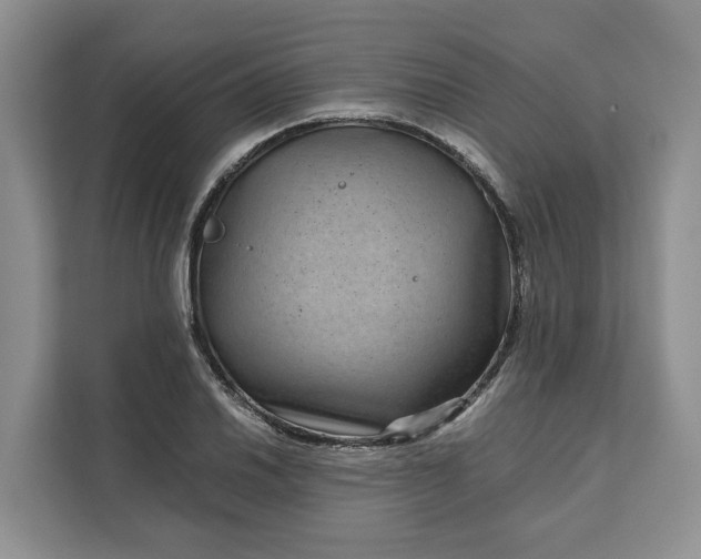 X0000111121030200907141146