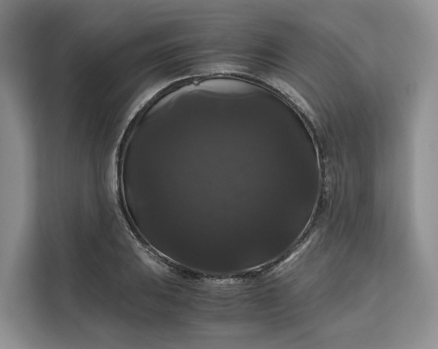 X0000111121031200907141146