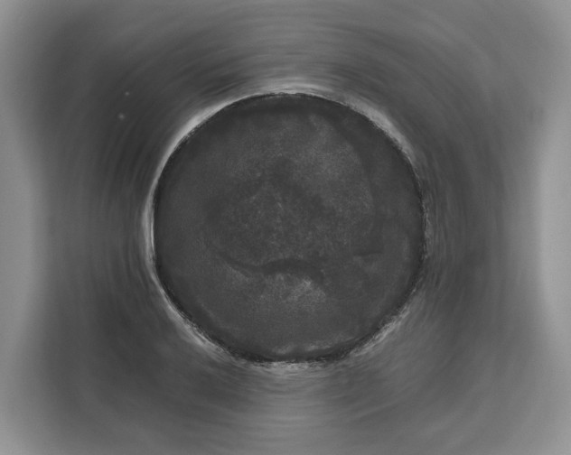 X0000111121032200907141146