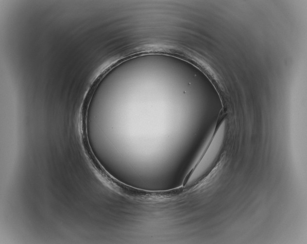 X0000111121034200907141147