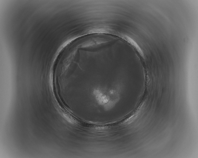 X0000111121035200907141147