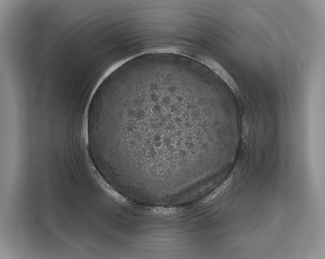 X0000111121036200907141147