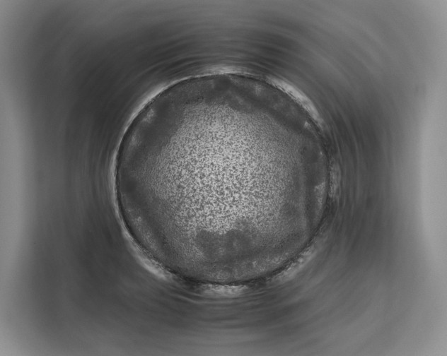 X0000111121039200907141147