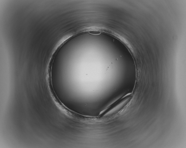 X0000111121042200907141147