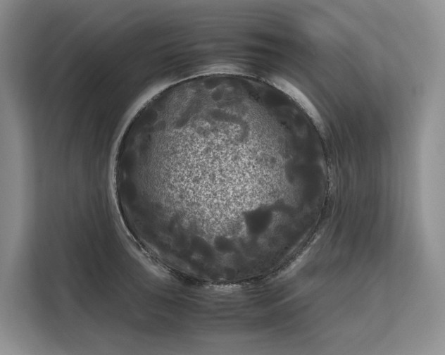 X0000111121043200907141147