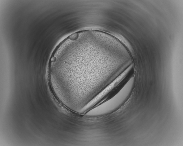 X0000111121044200907141147