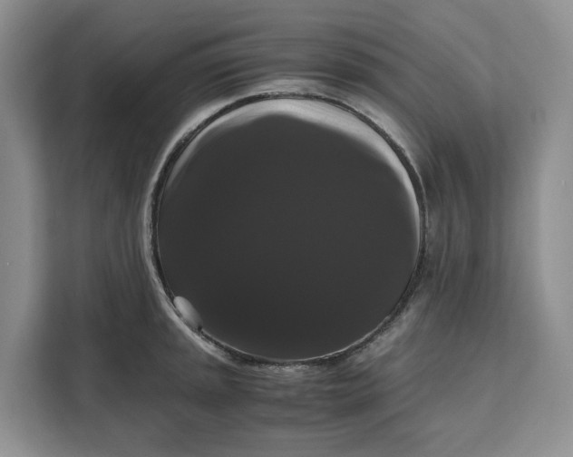 X0000111121045200907141147