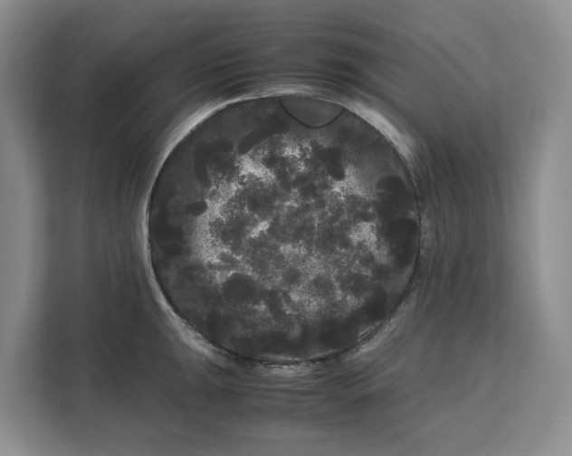 X0000111121047200907141147