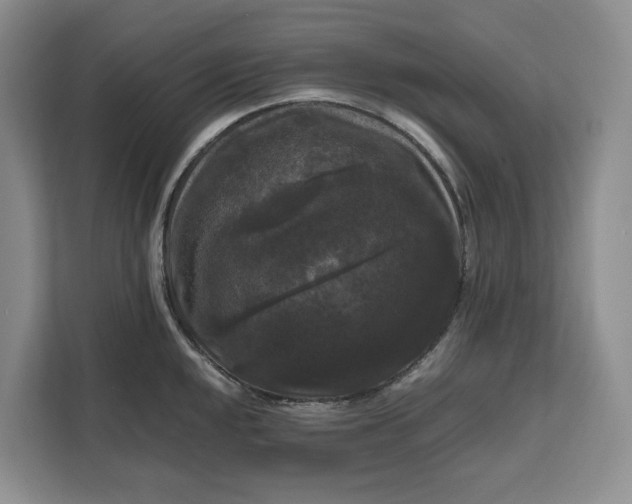 X0000111121048200907141147