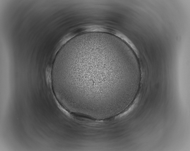 X0000111121049200907141147