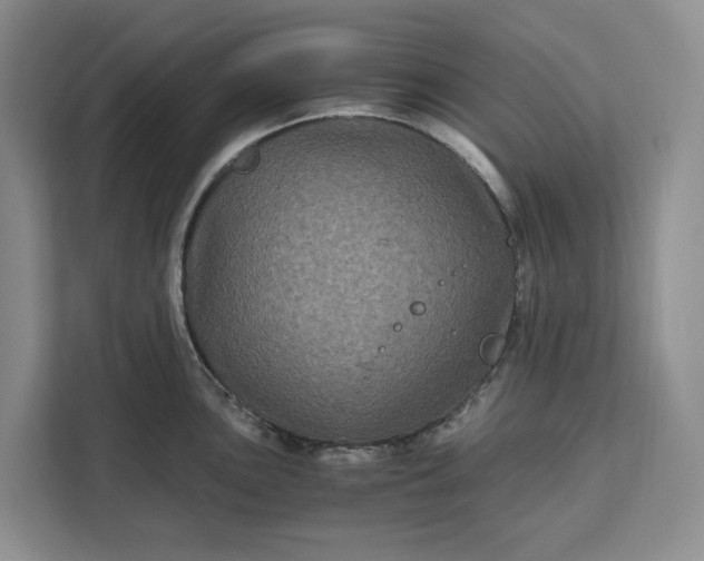 X0000111121051200907141147