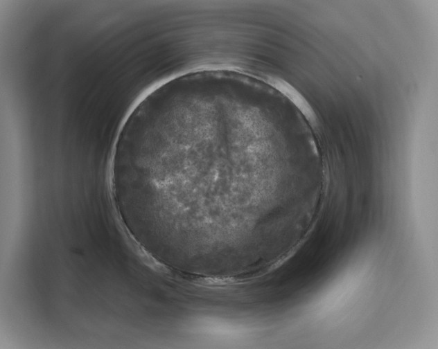 X0000111121052200907141147