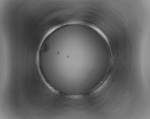 X0000111121053200907141147