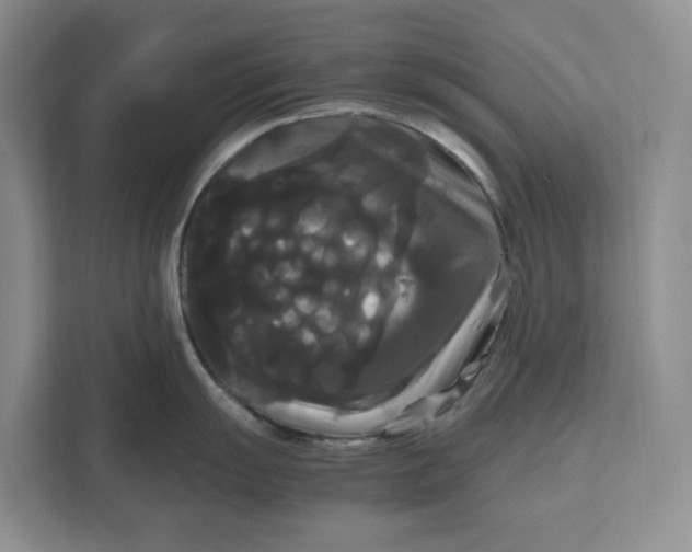 X0000111121055200907141147