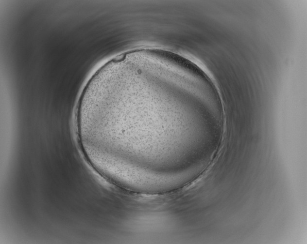 X0000111121056200907141147