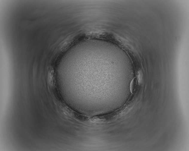 X0000111121059200907141146