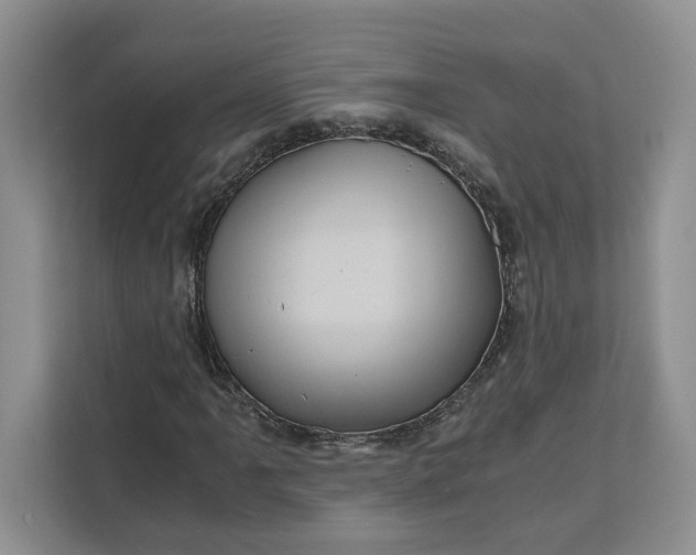 X0000111121061200907141146