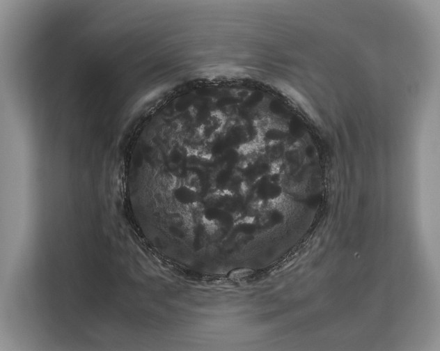 X0000111121063200907141146