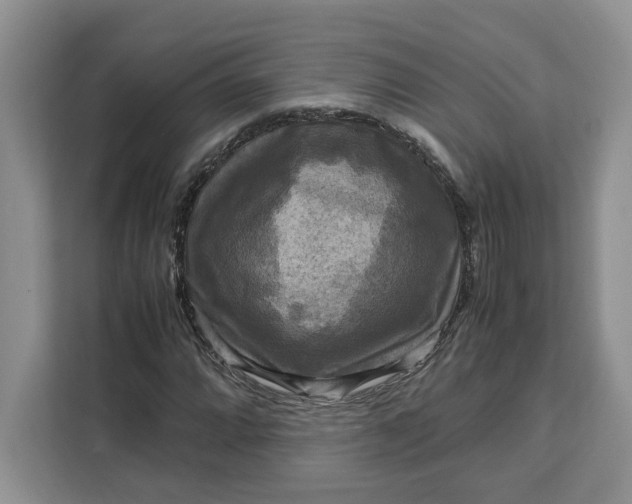 X0000111121064200907141146