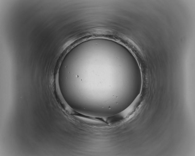 X0000111121065200907141146