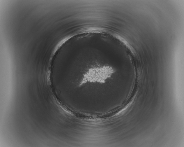 X0000111121066200907141146