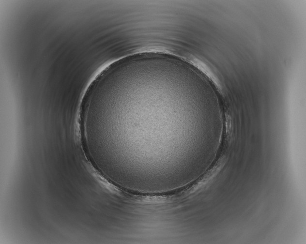 X0000111121068200907141146