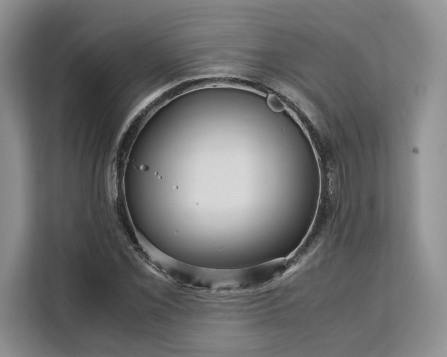 X0000111121069200907141146