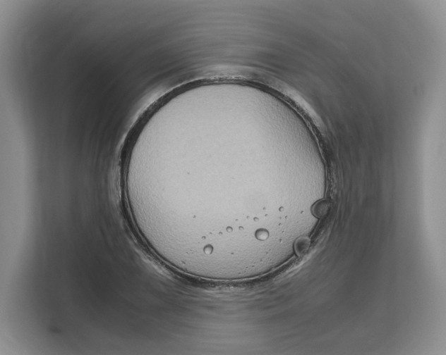 X0000111121075200907141146