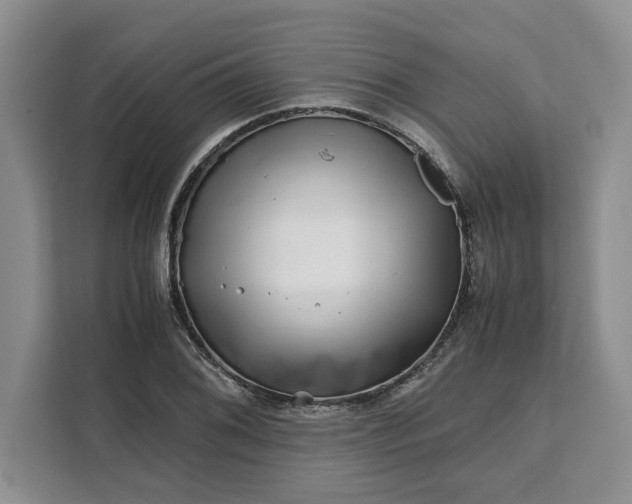 X0000111121076200907141146