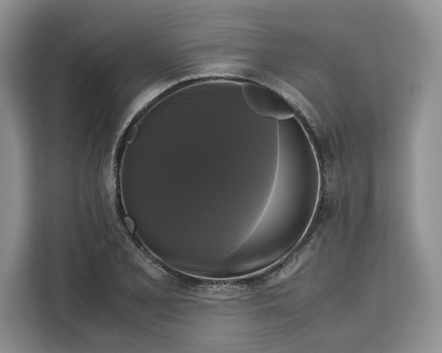 X0000111121077200907141146