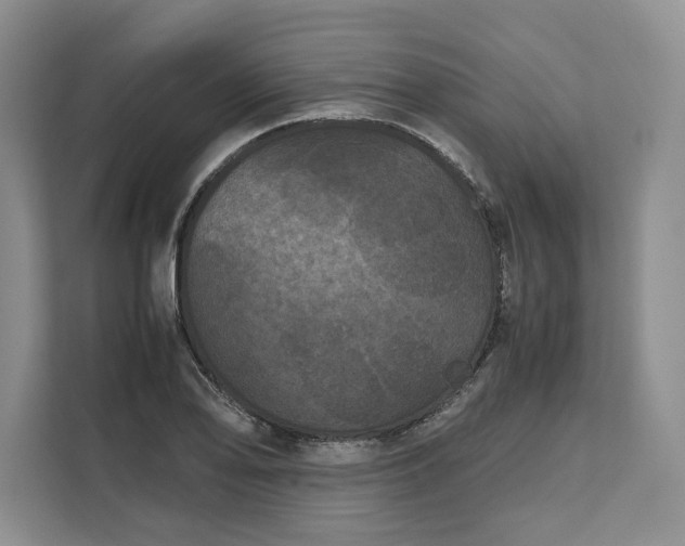 X0000111121078200907141146