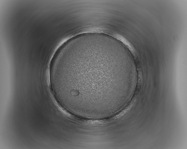 X0000111121079200907141146