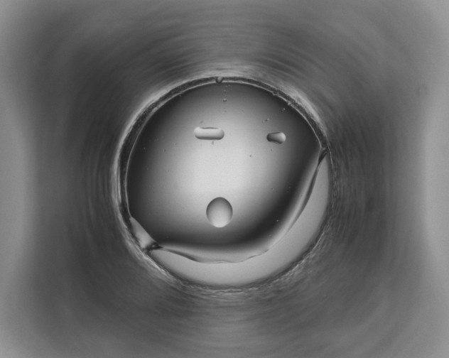 X0000111121080200907141146