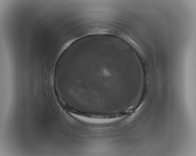 X0000111121081200907141146