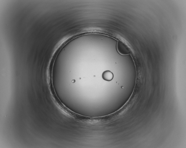 X0000111121082200907141146