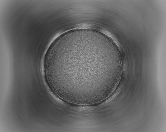 X0000111121083200907141146