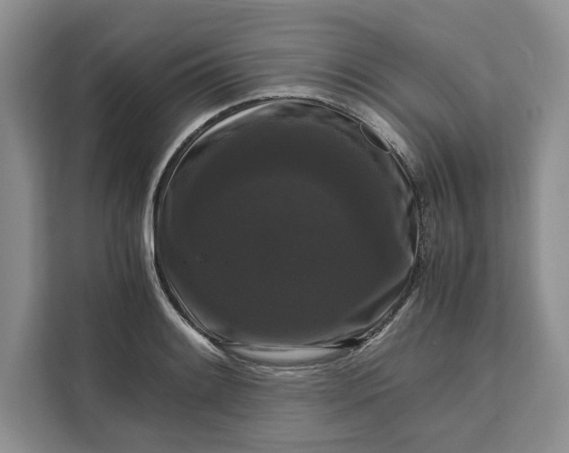 X0000111121084200907141146