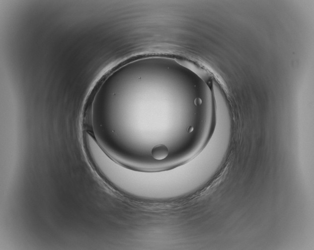 X0000111121085200907141146