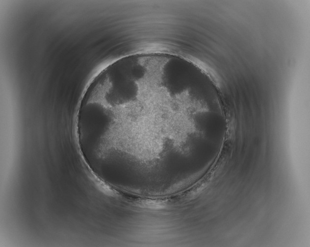 X0000111121086200907141146