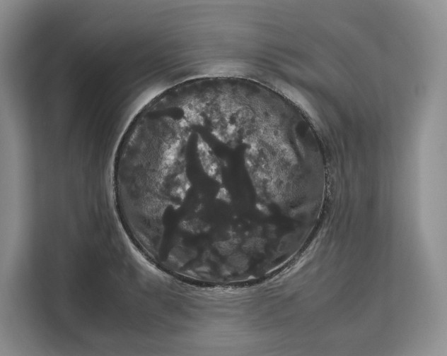 X0000111121087200907141146