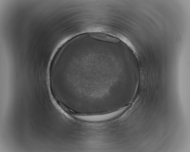 X0000111121088200907141146