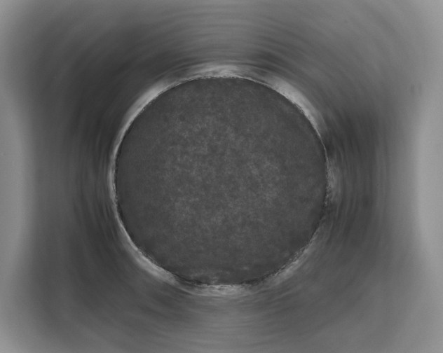 X0000111121090200907141146