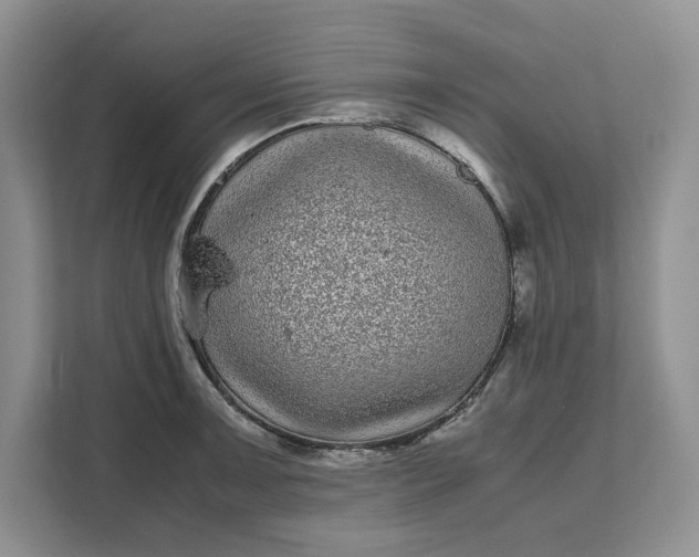 X0000111121091200907141146