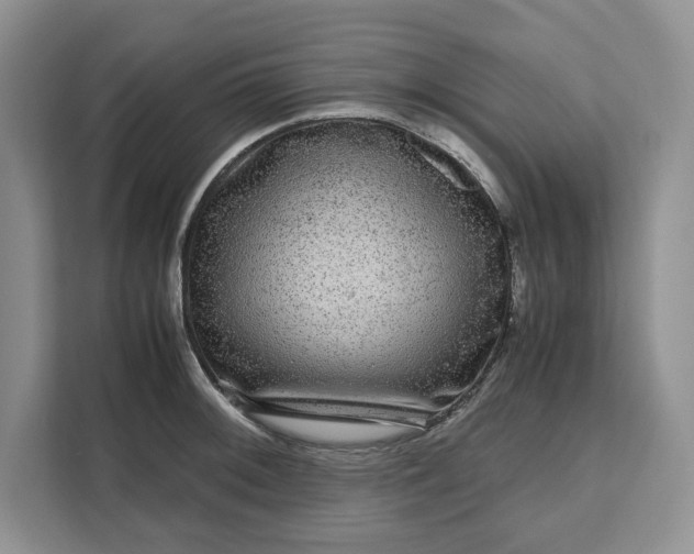 X0000111121092200907141146