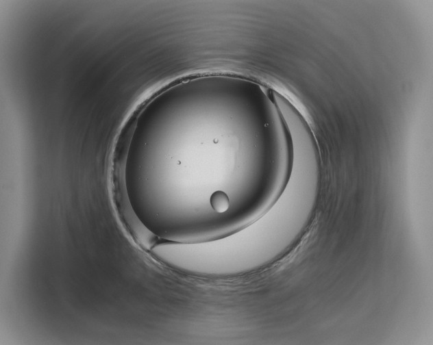 X0000111121093200907141146