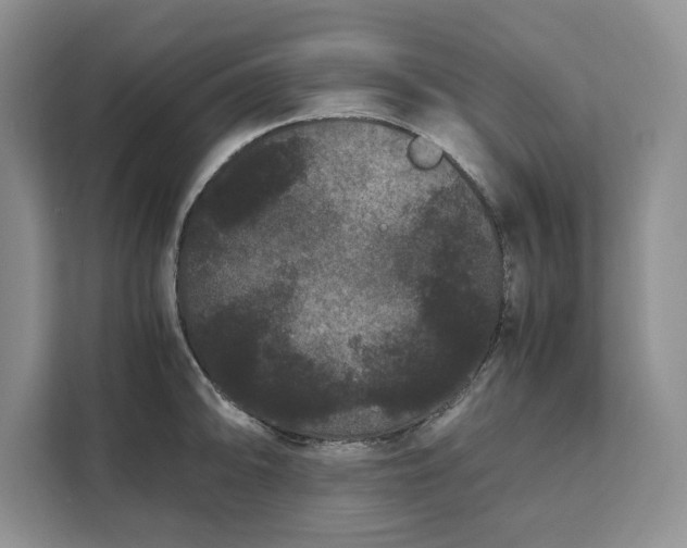 X0000111121094200907141146