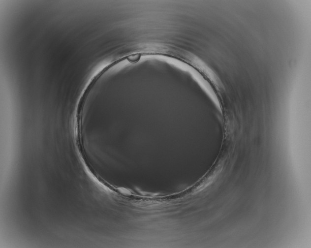 X0000111121095200907141146