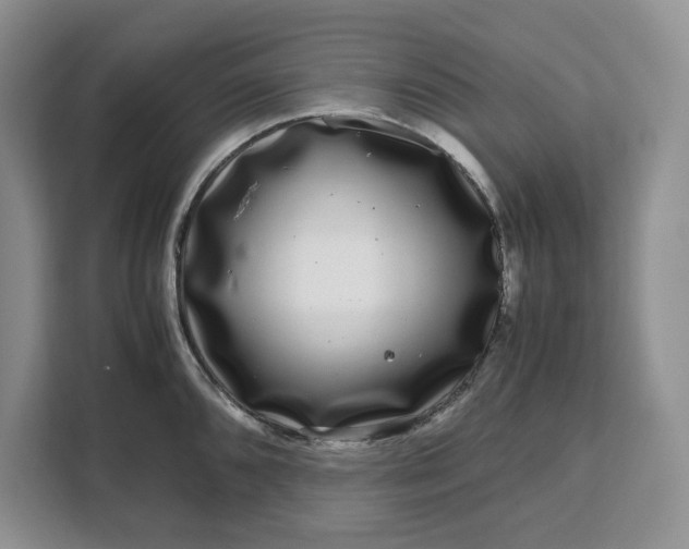 X0000111121096200907141146