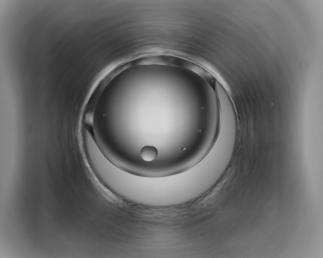 X0000111121098200907141146