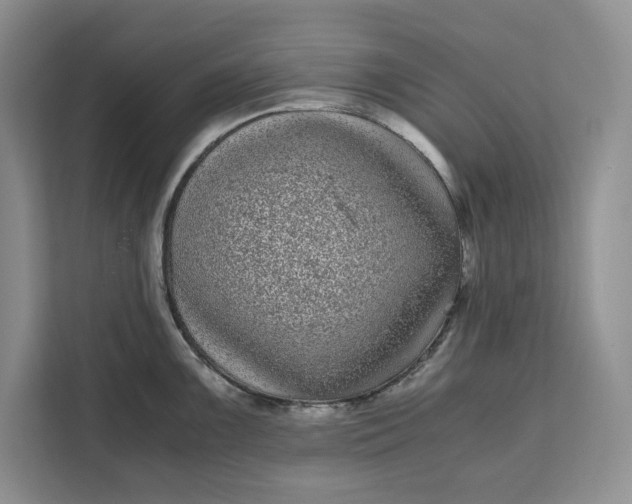 X0000111121099200907141146